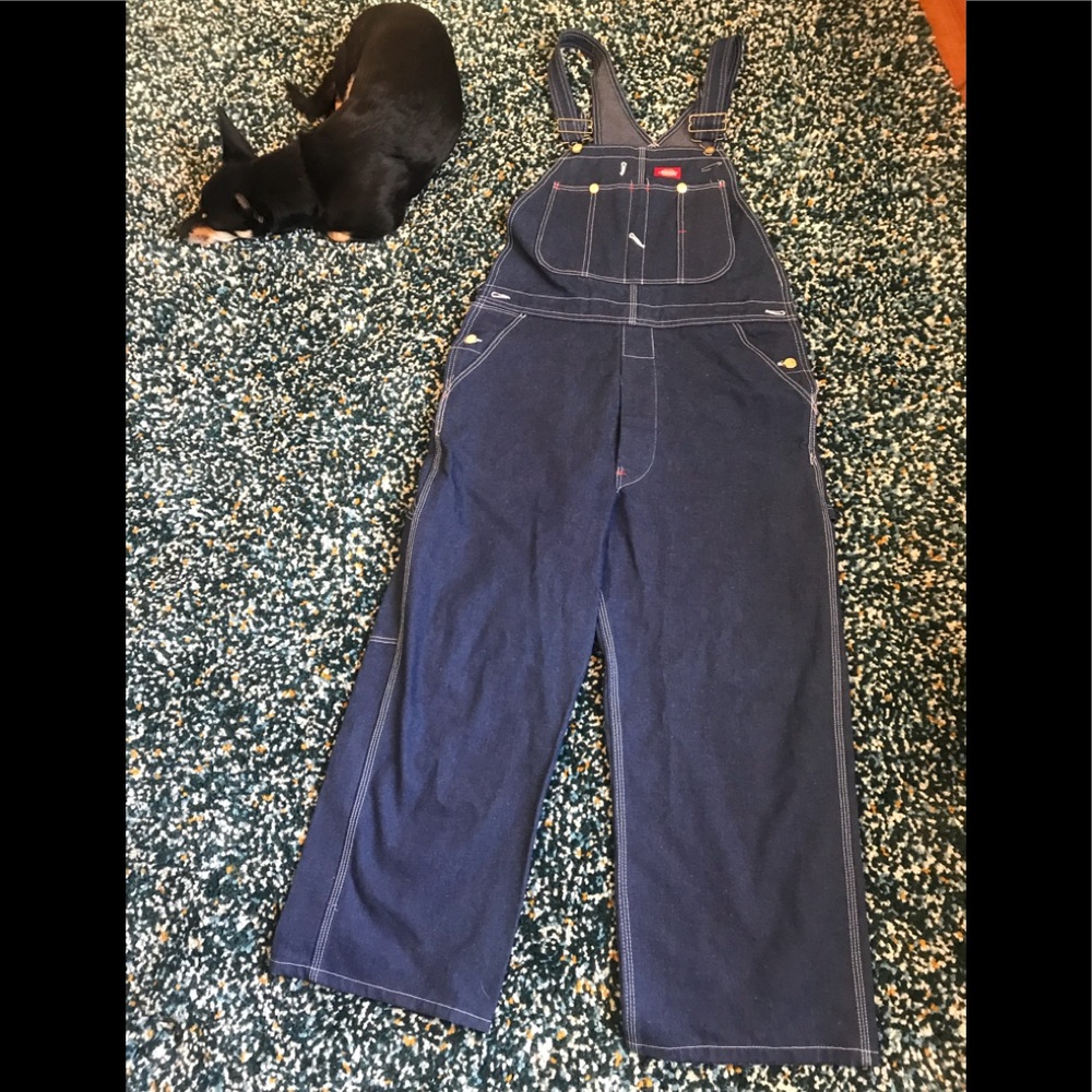 Blue Dickies conductor Overalls